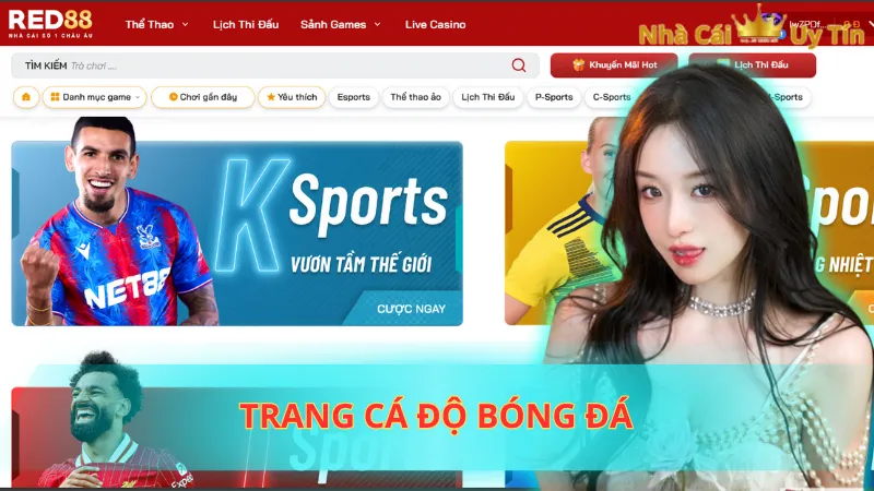 Trang cá độ bóng đá