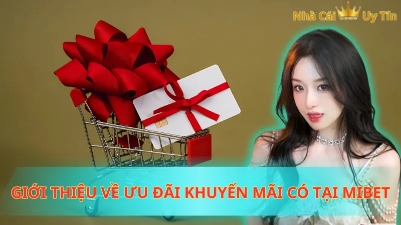 Giới thiệu về ưu đãi khuyến mãi có tại Mibet