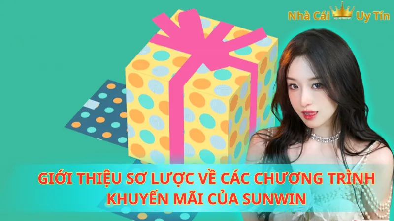 Giới thiệu sơ lược về các chương trình khuyến mãi của Sunwin